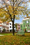 Un giardino pubblico con foliage autunnale nel centro di Barcelos, distretto di Braga, Portogallo.


