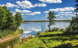 Un grande stagno di pesci a Rozmberk nad Vltavou, Repubblica Ceca. Incanta con i suoi panorami naturali e la grande atmosfera rilassante questa piccola cittadina della Boemia: il centro storico, ...