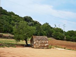 Un grazioso angolo rurale nelle campagne attorno a Ricadi, Calabria.

