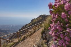 Un grazioso passaggio lungo la montagna del Redentore di fronte a Formia e Gaeta, Lazio. Questa cima che raggiunge i 1252 metri di altezza è la spalla meridionale del monte Altino.

 ...
