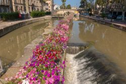 Un grazioso scorcio del canale della Robine abbellito con fiori colorati, Narbona, Francia.

