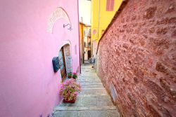 Un grazioso vicolo del centro storico di Barga, Toscana. Per la sua importanza storica, artistica e e civica, Barga è uno dei borghi più belli d'Italia, importante riconscimento ...