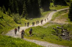Un gruppo di ciclisti in mountain bike percorre un sentiero a Morzine, Francia, fra campi e pinete - © Victor Lucas Photography / Shutterstock.com