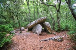 Un gruppo di tre dolmen nelle campagne di Barjac in Francia
