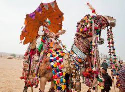 Un indiano a dorso di dromedario durante il Festival del Deserto a Jaisalmer, Rajasthan. Questa manifestazione si svolge ogni anno nel mese di febbraio - © Radiokafka / Shutterstock.com ...