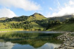 Un laghetto alpino nel borgo di Stoos, Svizzera. In questo territorio escursioni, passeggiate e itinerari escursionistici attendono gli appassionati di montagna nei mesi estivi e invernali.
 ...