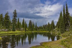 Un laghetto alpino nel Parco Nazionale di Revelstoke, British Columbia, Canada.

