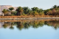 Un lago nell'oasi di Farafra, Egitto, deserto del Sahara. Questa località risale ai tempi dei faraoni anche se non vi sono monumenti a testimonianza di quel periodo.
