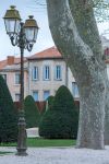 Un lampione e un albero di sicomoro in un parco pubblico di Narbona, Francia. 

