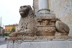 Un leone stiloforo all'ingresso del Duomo di Piacenza in Emilia-Romagna - © kamienczanka / Shutterstock.com