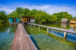 Città del Bocas, un molo e la vista sull'oceano, arcipelago Bocas del Toro, Panama. Siamo a 32 chilometri dal confine con il Costa Rica - © Fotos593 / Shutterstock.com