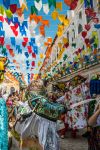 Un momento della tradizionale festa dei tori nella cittadina di Sao Luis, stato di Maranhao, Brasile - © Ksenia Ragozina / Shutterstock.com