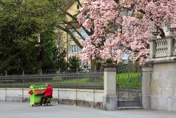 Un musicista di strada suona il piano nel centro storico di Zugo, Svizzera. Fondata all'inizio del XIII° secolo in pieno medievo, Zugo conserva numerose testimonianze architettoniche ...