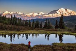 Un paesaggio tipico dell'Alaska in una giornata di tempo terso in estate.