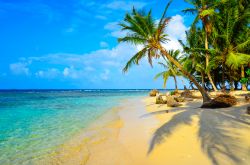 Un paradiso tropicale a San Blas, Panama. Acqua cristallina, sabbia dorata e palme caratterizzano Kuna Yala, isolotto indigeno di Panama.



