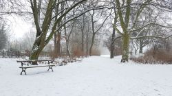 Un parco cittadino di Lipsia (Germania) in inverno con la neve.
