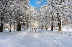 Un parco nel centro cittadino di Marianske Lazne, Repubblica Ceca, in inverno con la neve. Siamo sul fronte meridionale della foresta di Slavkov - © nikolpetr / Shutterstock.com