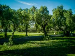 Un parco pubblico nei pressi del porto di Sagunto, Spagna.

