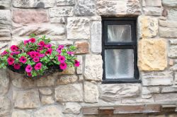 Un particolare del muro in pietra di una casa a Seahouses, Inghilterra. Ad abbellire la facciata, un vaso di fiori colorati.

