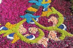 Un particolare dell'Infiorata Termitana che si svolge nel centro di Termini Imerese in Sicilia - © Millionstock / Shutterstock.com