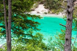 Un particolare di un lago artificiale nei pressi di Chiusaforte in Friuli Venezia Giulia