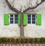 Particolare di una casa di Mittenwald, Baviera, Germania. Una vecchia vite fra le persiane verdi di un'abitazione di campagna - © Zyankarlo / Shutterstock.com