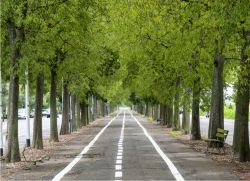 Un pista ciclabile in provincia di Vercelli in Piemonte