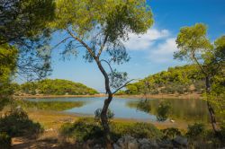 Un pittoresco laghetto nei pressi di Aponisos, isola di Angistri, Grecia - © siete_vidas / Shutterstock.com