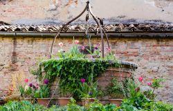 Un pittoresco scorcio del borgo di Buonconvento, Toscana, con fiori. Perfettamente conservato, Buonconvento ha origini trecentesche.


