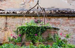 Un pittoresco scorcio del borgo di Buonconvento, Toscana, con fiori. Perfettamente conservato, Buonconvento ha origini trecentesche.


