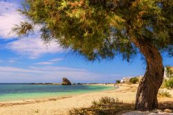 Un pittoresco scorcio panoramico del Salento: siamo sulla spiaggia di Torre Pali, in provincia di Lecce (Puglia).

