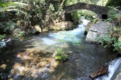 Un ponte in pietra attraversa uno dei torrenti del Parco Nazionale Barranca del Cupatitzio, Uruapan, Messico. Quest'area verde opsita le sorgenti del fiume Cupatitzio in un sito conosciuto ...