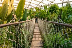 Un ponticello in legno allo zoo di Lipsia, Germania. Realizzato nel 1878 da Ernst Pinkert, questo parco faunistico si estende su un'area di 26 ettari - © MooNam StockPhoto / Shutterstock.com ...