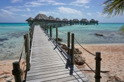 Un ponticello in legno per raggiungere i bungalows del resort di Tikehau, atollo dell'arcipelago di Tuamotu (Polinesia Francese).


