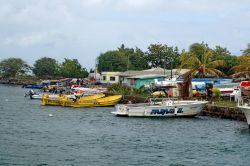 Un porticciolo turistico a Rodney Bay, isola di Saint Lucia - © Angela N Perryman / Shutterstock.com