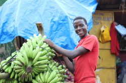 Un ragazzo ugandese vende banane in un mercato locale a Kampala (Africa) - © Sarine Arslanian / Shutterstock.com
