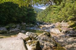 Un ruscello sulle montagne dell'isola di Yakushima, Giappone.



