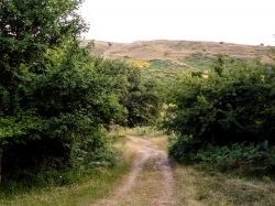 Un sentiero nelle campagne di Manoppello in Abruzzo