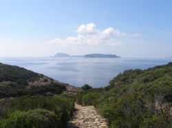 Un sentiero verso il mare: siamo a Zannone, arcipelago delle Pontine, regione Lazio