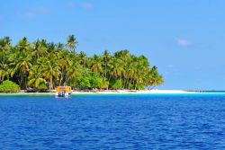 Un spiaggia circondata da palme: siamo in uno dei paradisi perduti delle Isole Laccadive.