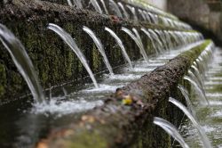 Un suggestivo gioco d'acqua nel Parco Nazionale Barranca del Cupatitzio a Uruapan, Messico.




