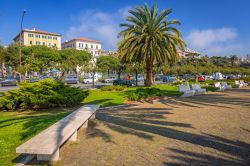 Un suggestivo scorcio della città di La Spezia con la passeggiata alberata, Liguria. La Spezia è il secondo centro ligure più popoloso dopo Genova.



