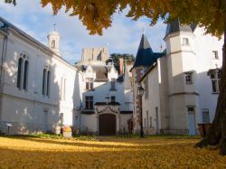 Un suggestivo scorcio di Montrichard, Francia, in autunno con le foglie di ginkgo-biloba.
