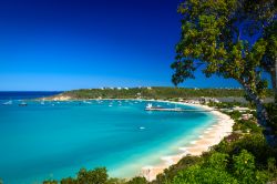 Un suggestivo scorcio di Sandy Ground Beach, Caraibi, America Centrale. Quest'isola è frequentata dai turisti per la ricchezza dei suoi fondali marini, per la sua sabbia finissima ...