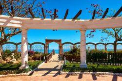 Un suggestivo scorcio fotografico del giardino di Marina d'Or a Oropesa del Mar, Spagna - © Alex Tihonovs / Shutterstock.com