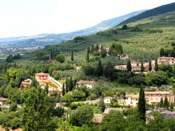 Un suggestivo scorcio panoramico dall'alto di Spello, Umbria. La superficie di questo territorio in provincia di Perugia si estende fra montagna, pianura e collina.



