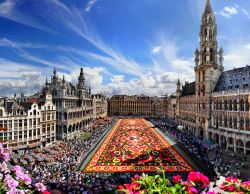 Tappeto di fiori sulla Grand-Place di Bruxelles. Questo magnifico tappeto di fiori multicolore può essere ammirato dal balcone del Municipio, aperto eccezionalmente ai visitatori ...