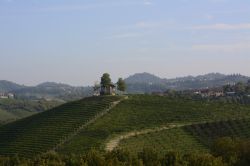 Un tipico Ciabot del Roero circondato dai famosi vigneti del Piemonte