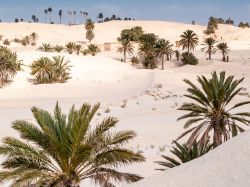 Un tipico panorama sahariano: dune e palme all'oasi di Douz, Tunisia.

