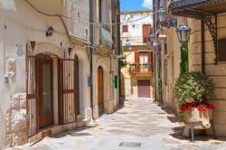 Un tipico vicolo nel centro della cittadina di Altamura, Puglia. Meta di numerosi visitatori, Altamura è nota soprattutto per il suo patrimonio archeologico e per le bellezze architettoniche ...